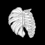 Up For Grabs Monstera Ribcage by Maddie