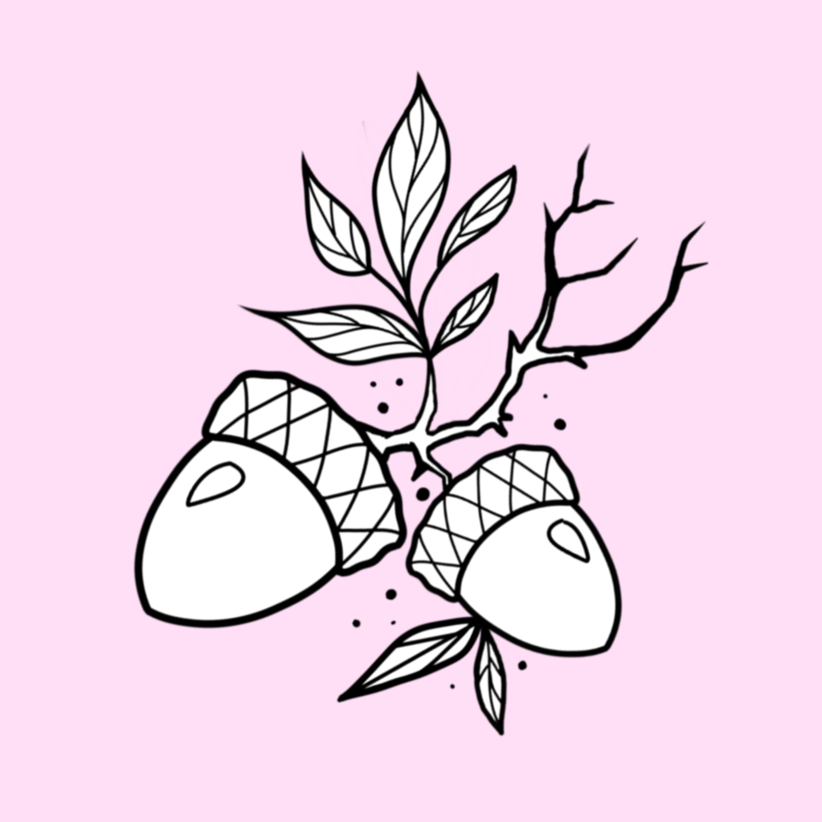 Up For Grabs Acorns by Kathy