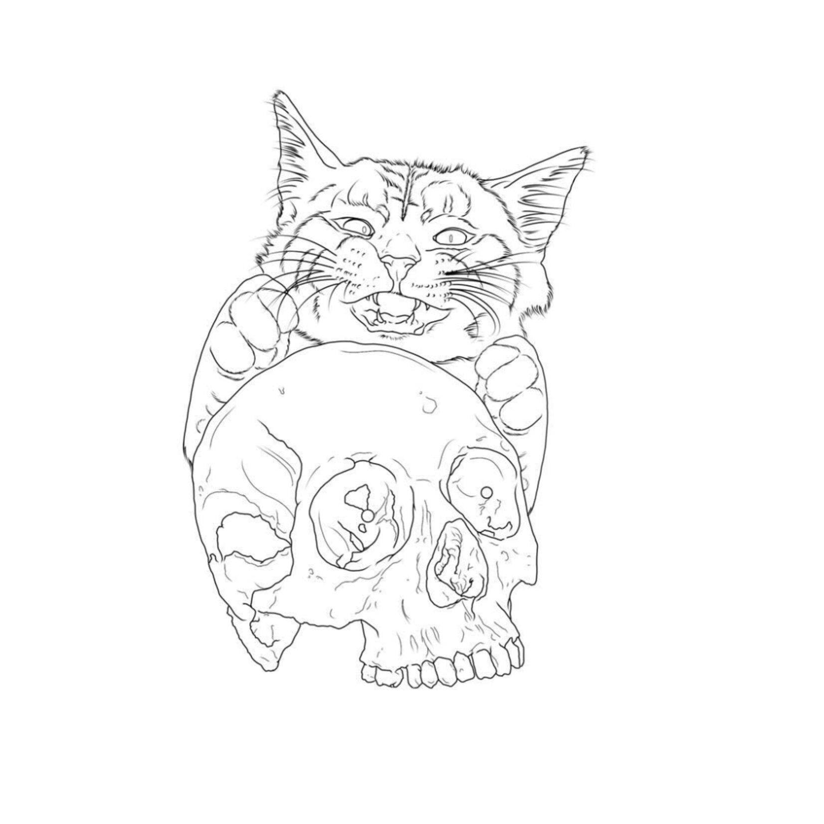 Human Kanvas Up For Grabs Cat & Skull by Ash