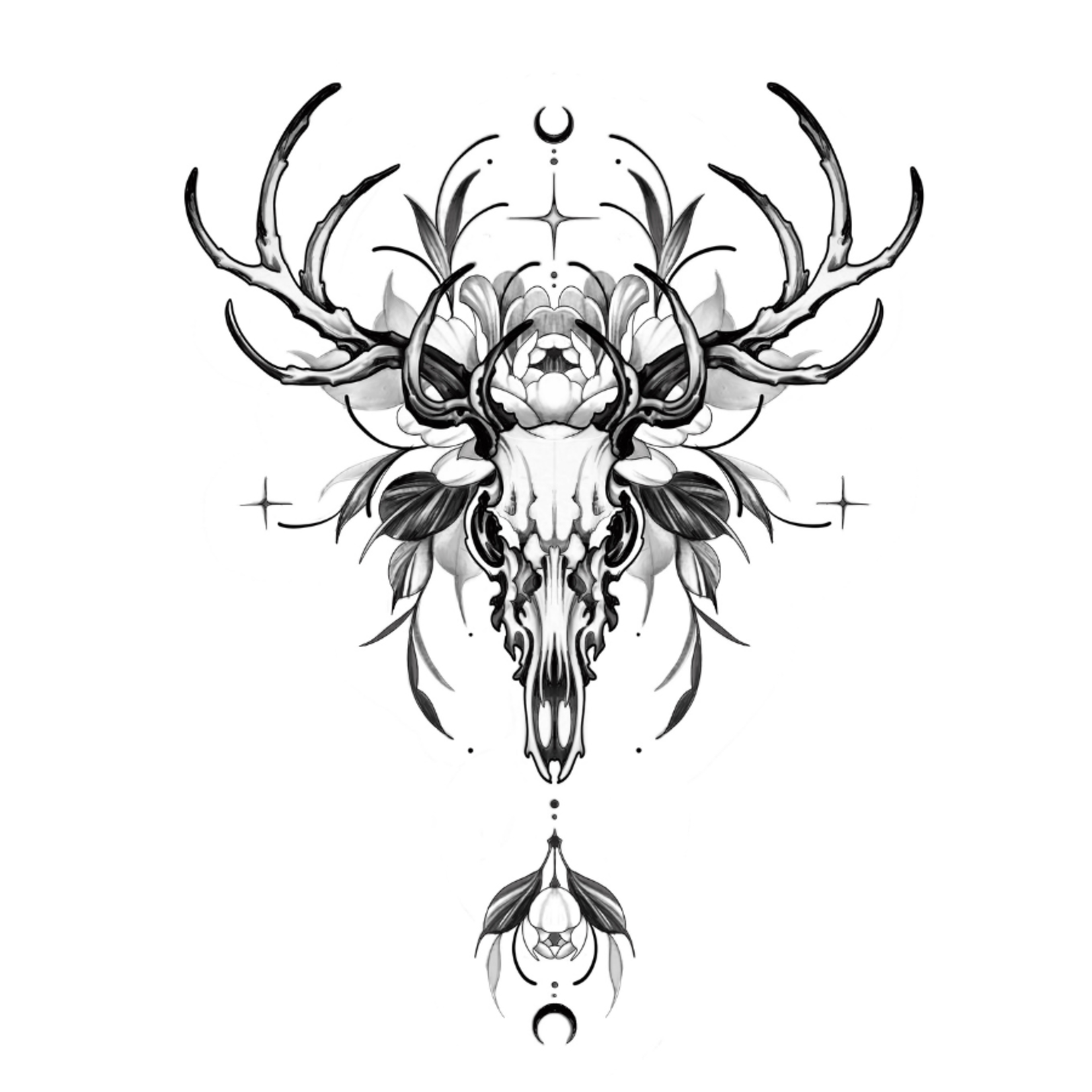 Human Kanvas Up For Grabs Deer Skull by Katerina