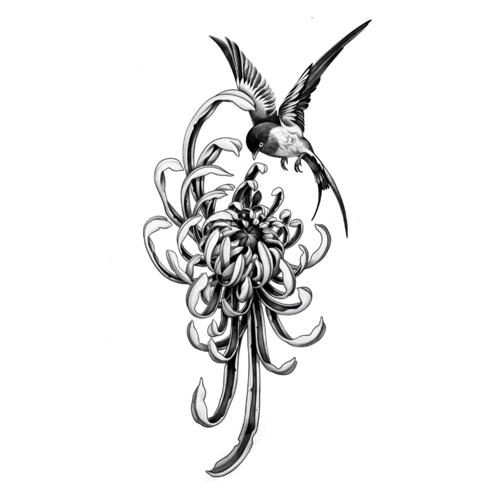 Human Kanvas Up For Grabs Chrysanthemum & Swallow by Katerina