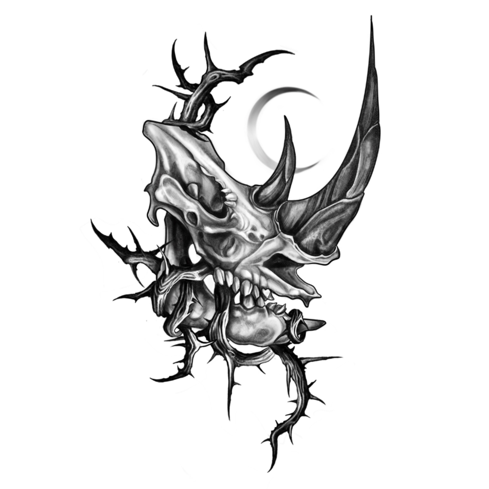 Human Kanvas Up For Grabs Rhino Skull by Katerina