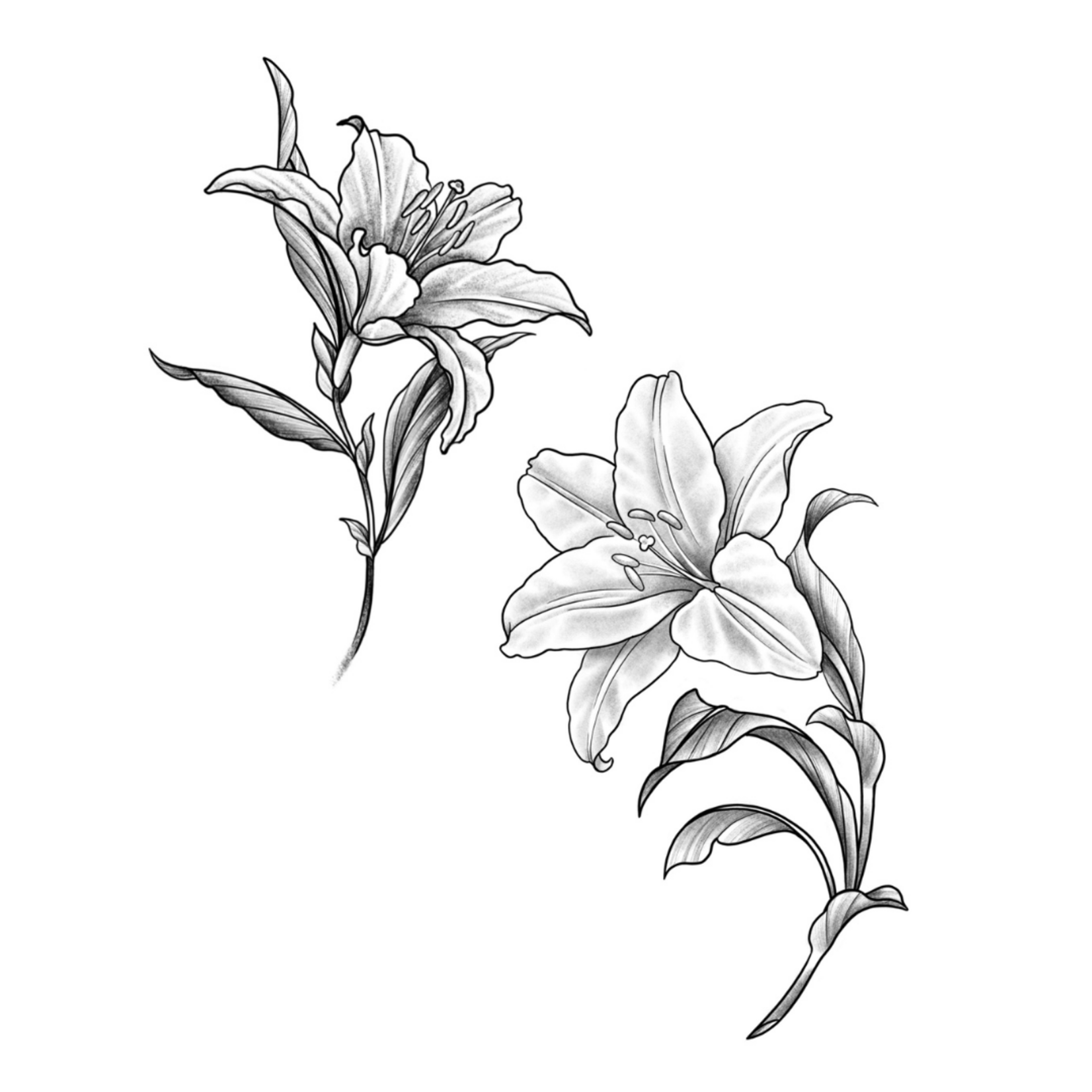 Up For Grabs Lillies by Dawn