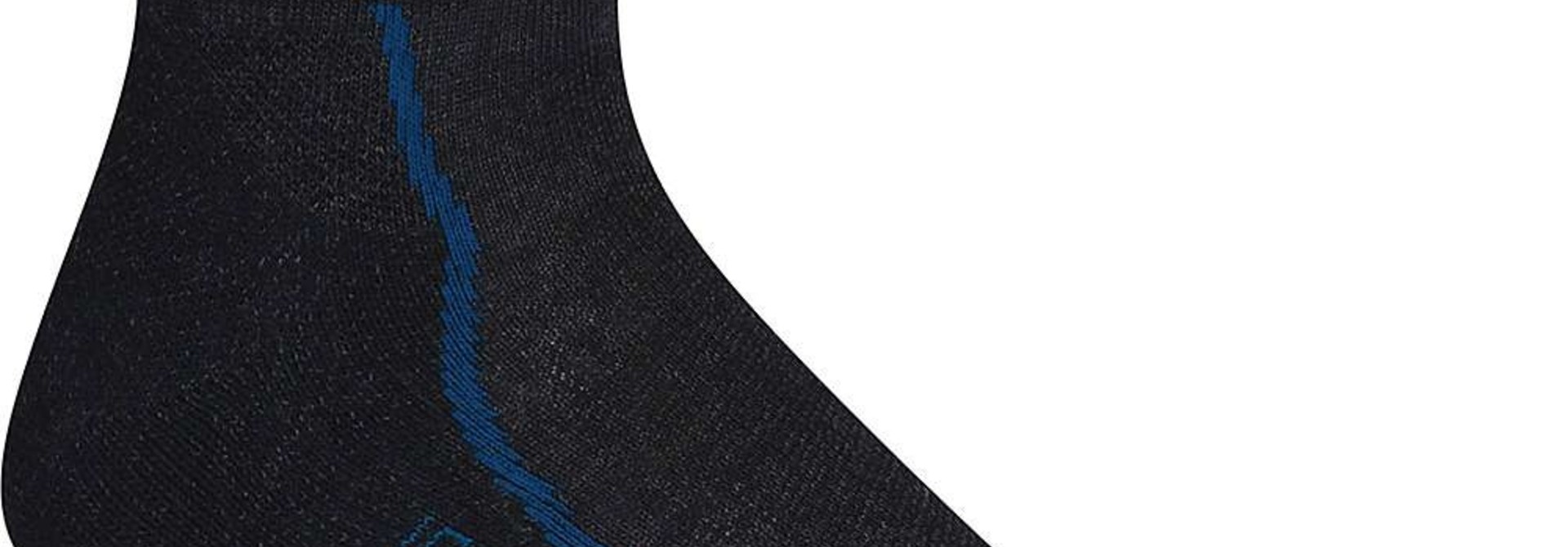 Men's Hike+ Light Mini Sock