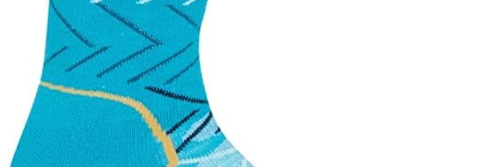Women's Hike+ Medium Cushion Crew