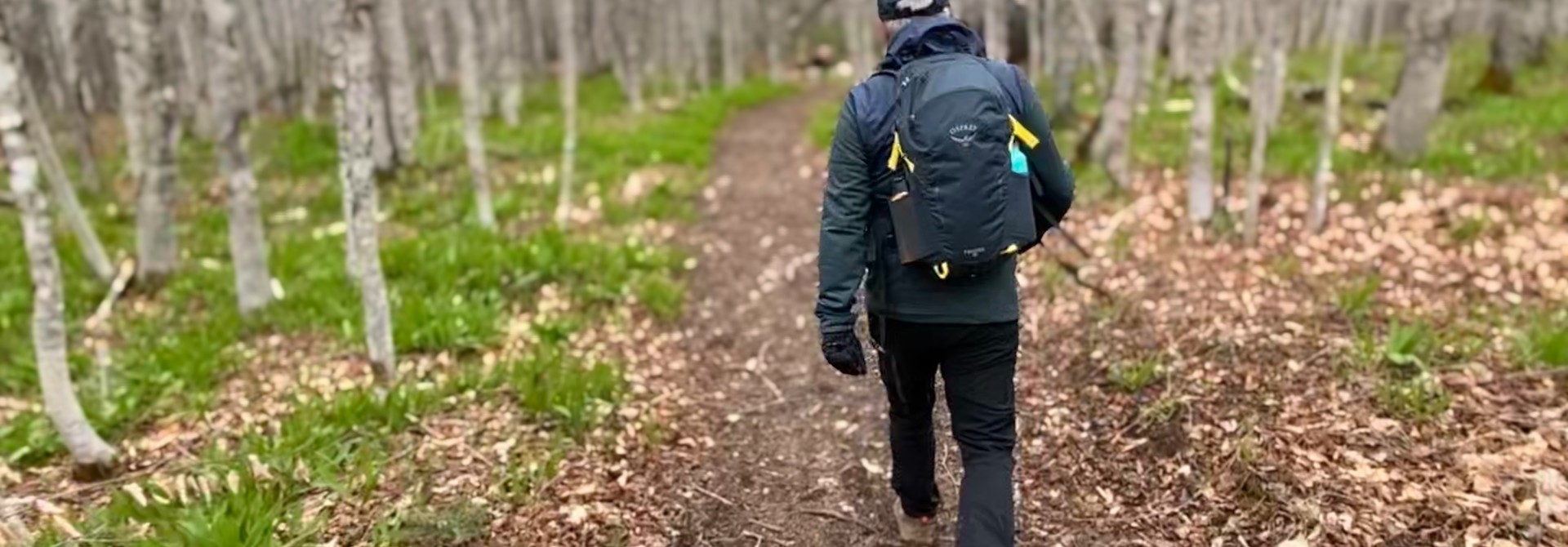 Hiking Bags