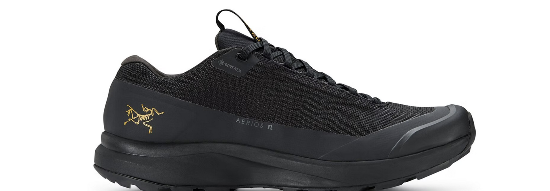 Men's Aerios FL 2 GTX