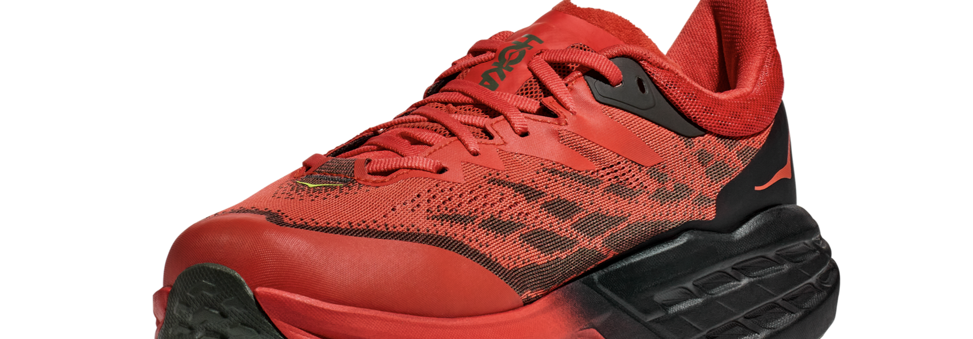 Men's Speedgoat 5 GTX