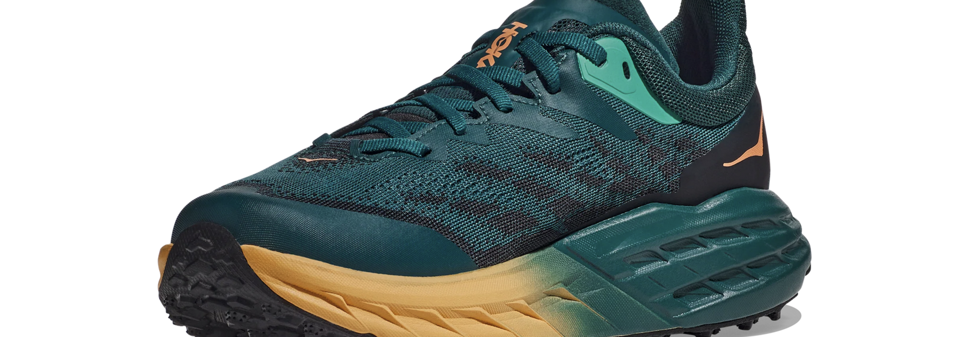 Women's Speedgoat 5 GTX