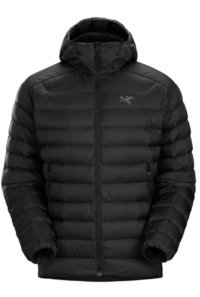 Arc'teryx Gamma LT Hoody Men's (Black, Small) 