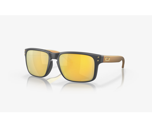 Holbrook prizm polarized sale