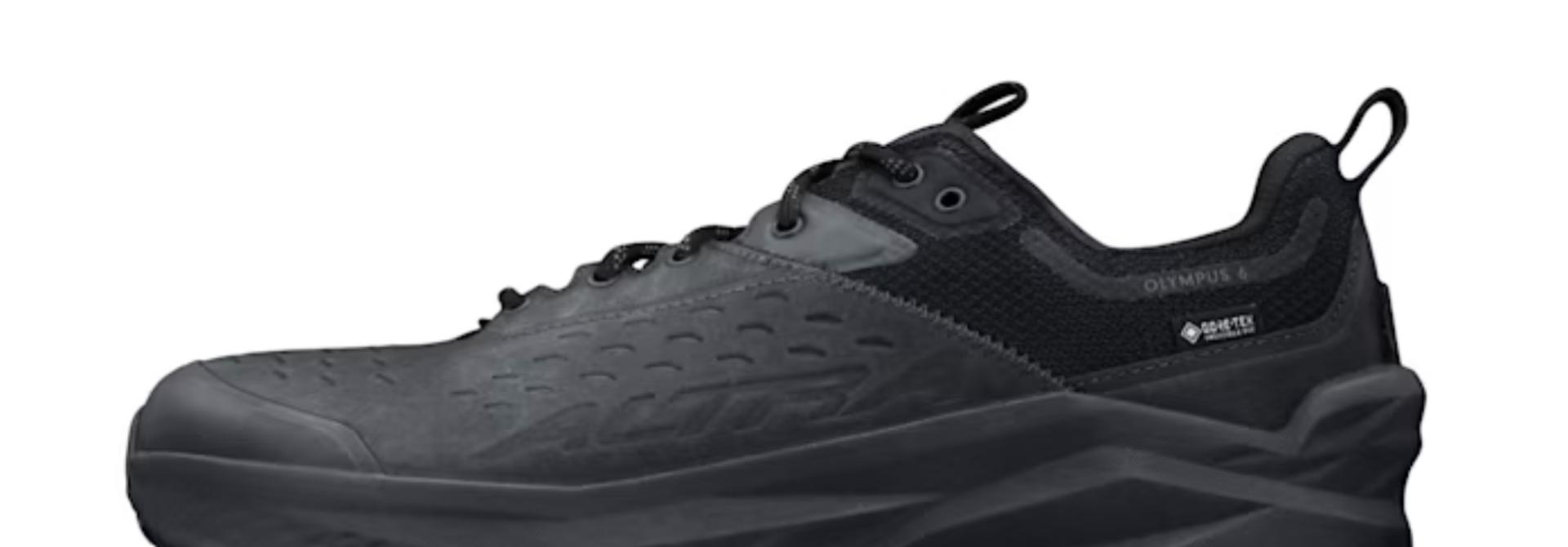 Men's Olympus 6 Hike Low GTX