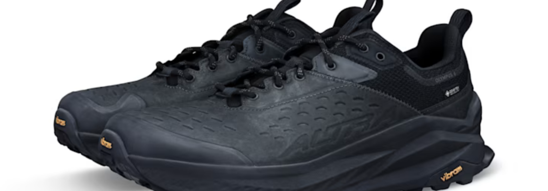 Men's Olympus 6 Hike Low GTX