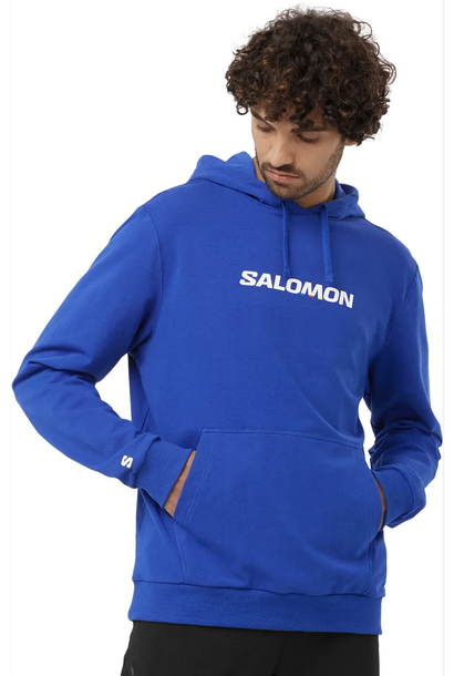 Men's Logo Performance Hoody