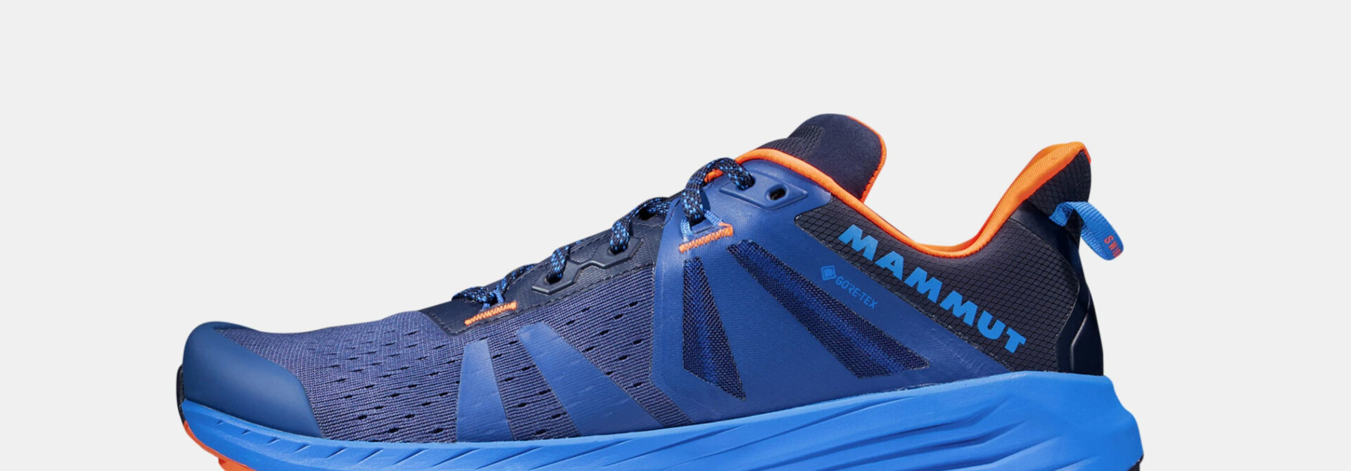 Men's Saentis TR Low GTX