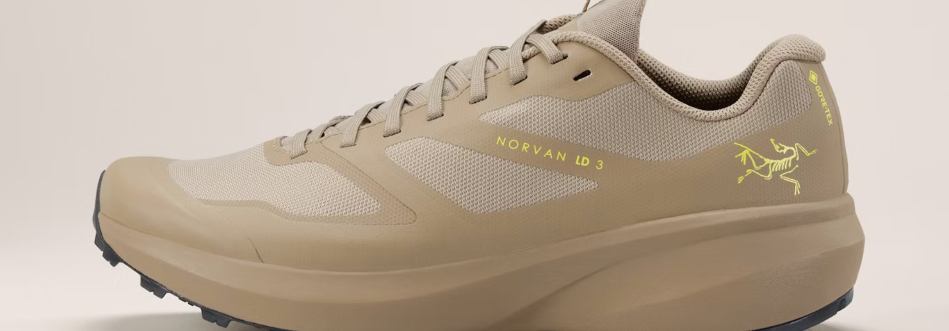 Men's Norvan LD 3 GTX Shoe