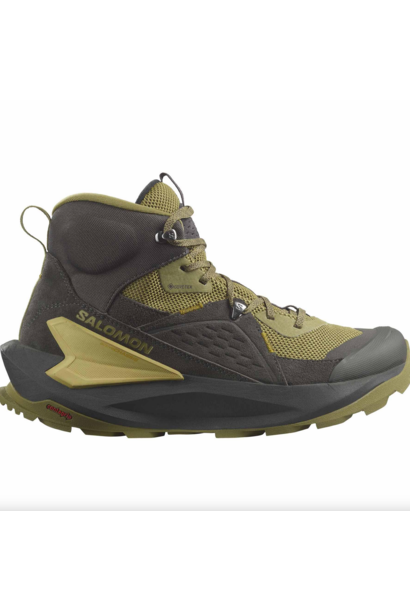 Men's Elixir MID GTX