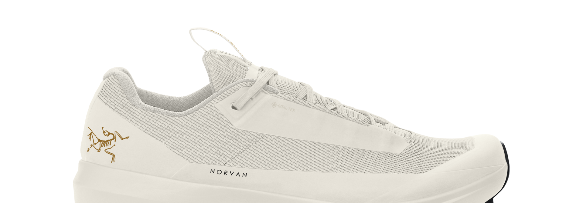 Women's Norvan LD 4 GTX