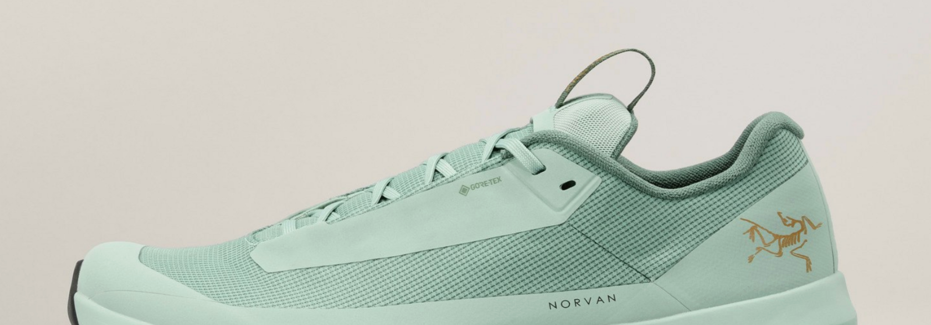 Men's Norvan LD 4 GTX