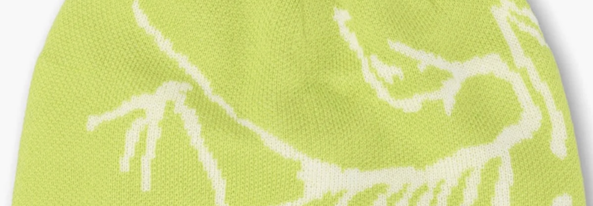 Arc'teryx Bird Head Toque