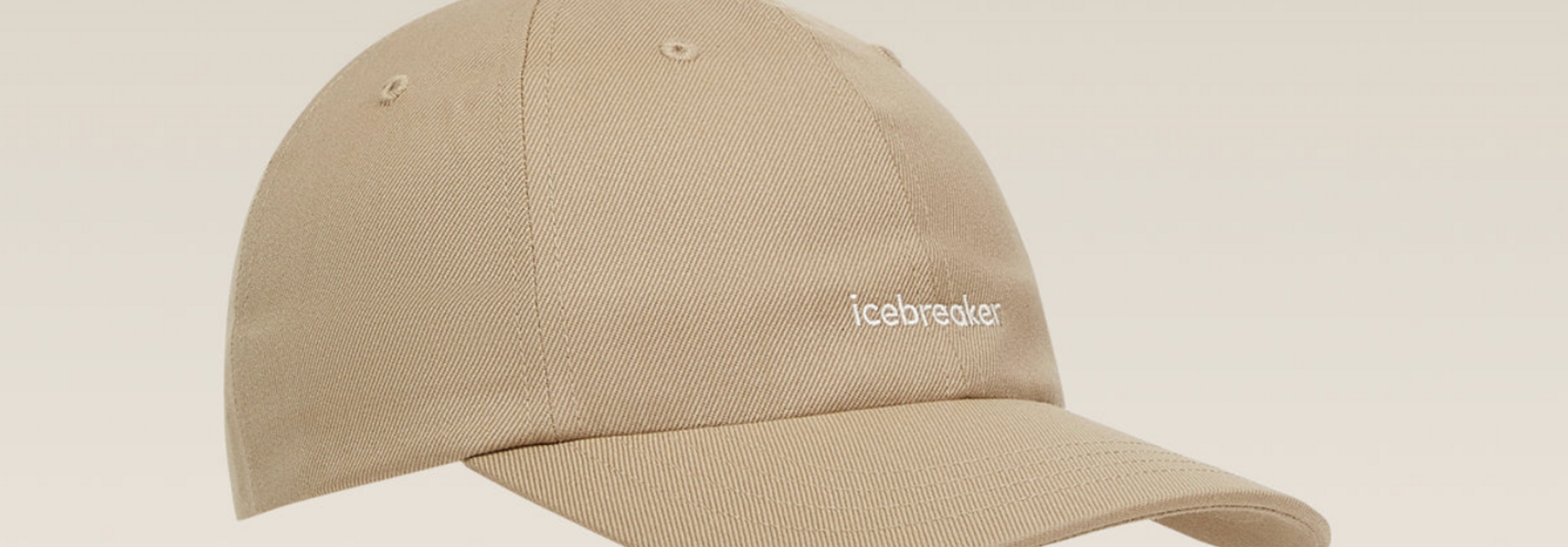 Icebreaker 6 Panel Cap