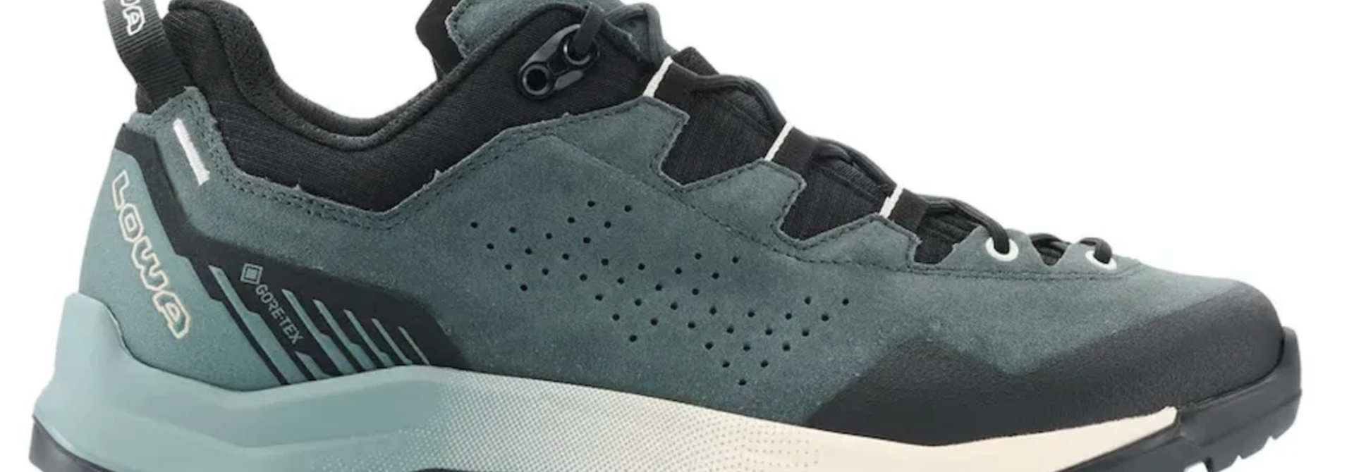 Men's Explorer GTX Low