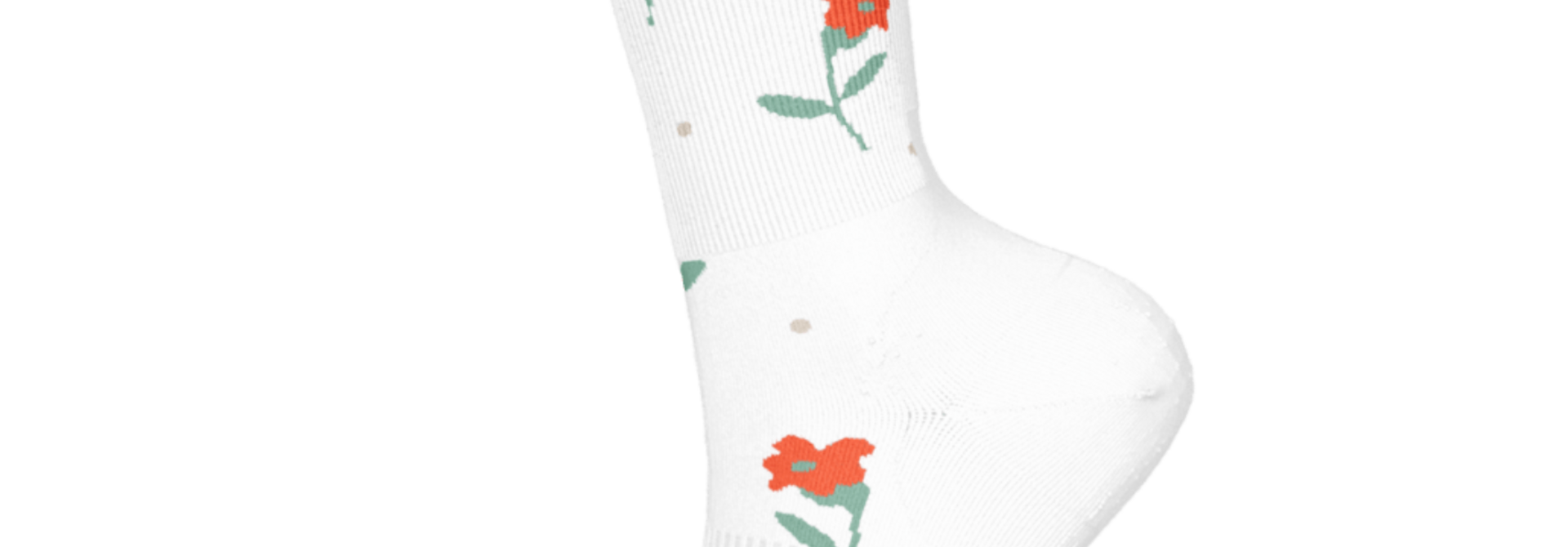 Women's Everyday Garden Gala Crew Socks