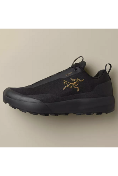 Men's Kopec 2 Low GTX