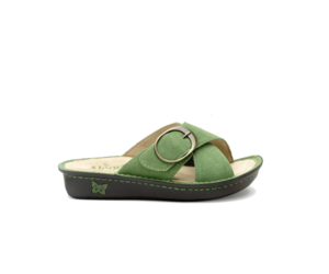 Vanya Olive - PodPlus