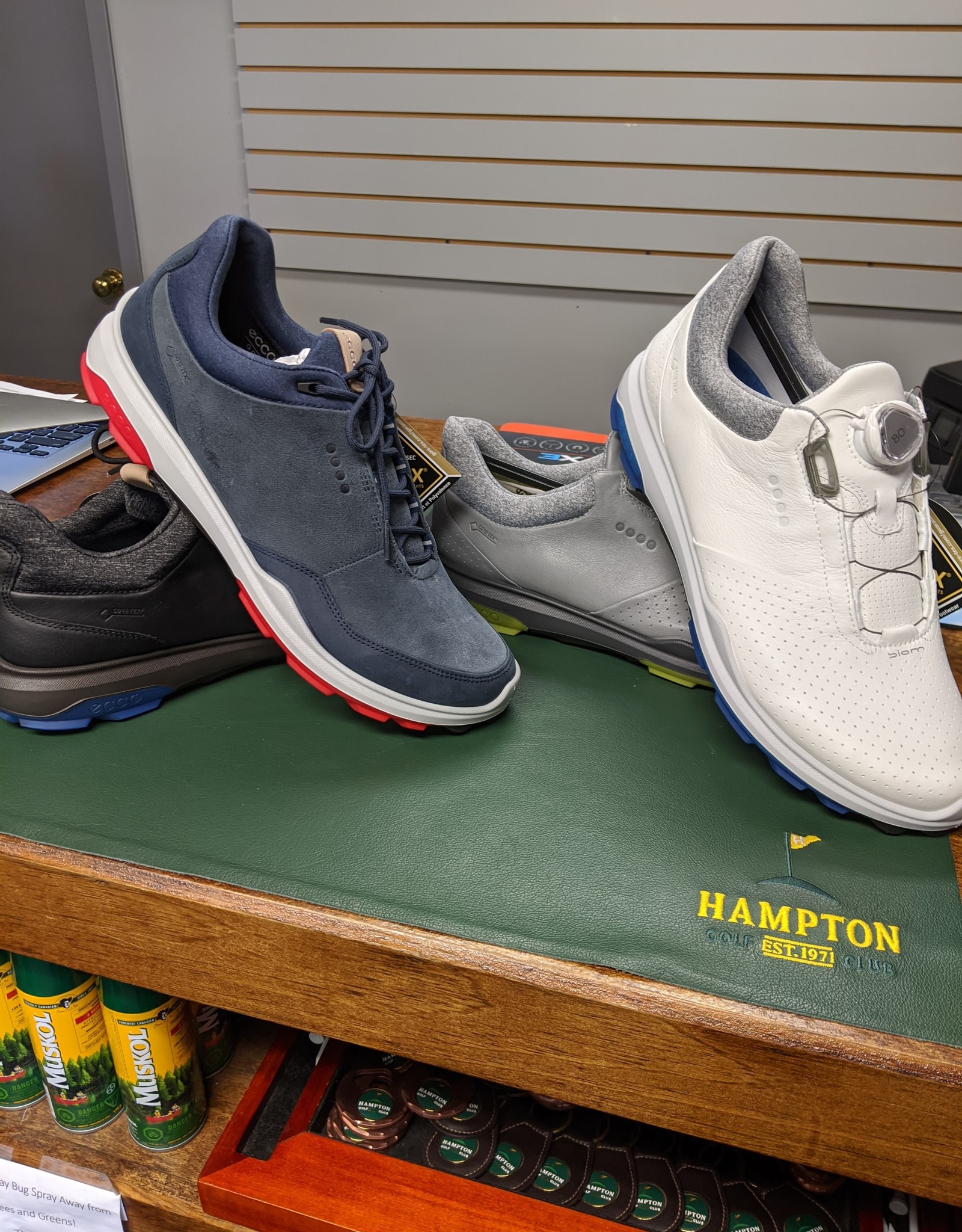 Ecco BIOM Hybrid 3 Shoe