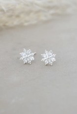 Glee Snow Crystal Studs Glee Snow Crystal Studs