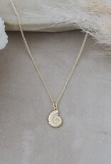 Glee Spiral Shell Necklace