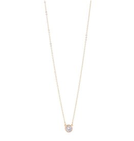 Merx Inc. Merx Bezel Long  Pendant Necklace Gold