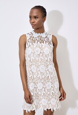 Apricot Guipure Lace Shift Dress