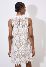 Apricot Guipure Lace Shift Dress