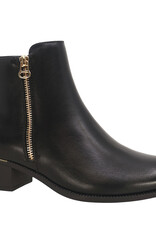 Taxi Briar 01