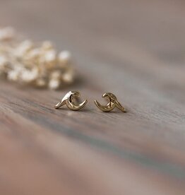 Glee Glee Making Waves