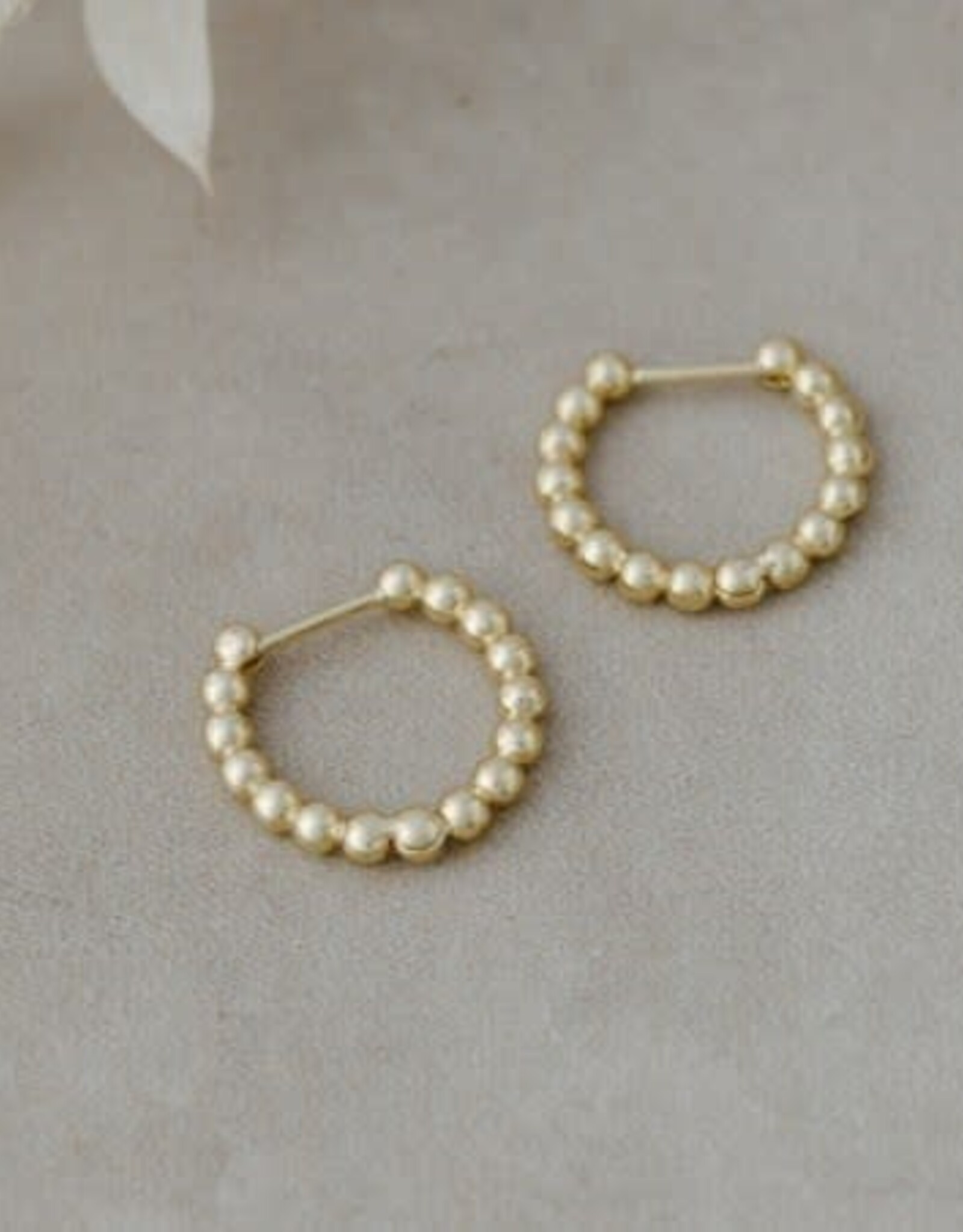 Glee Glee Pin Point Hoops