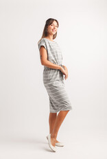 Papillon Striped Stretch Dress
