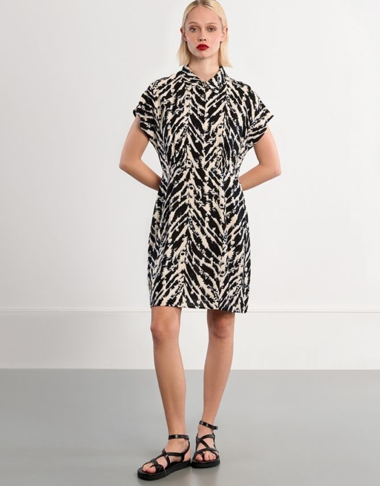 Molly Bracken Shirt Style Dress
