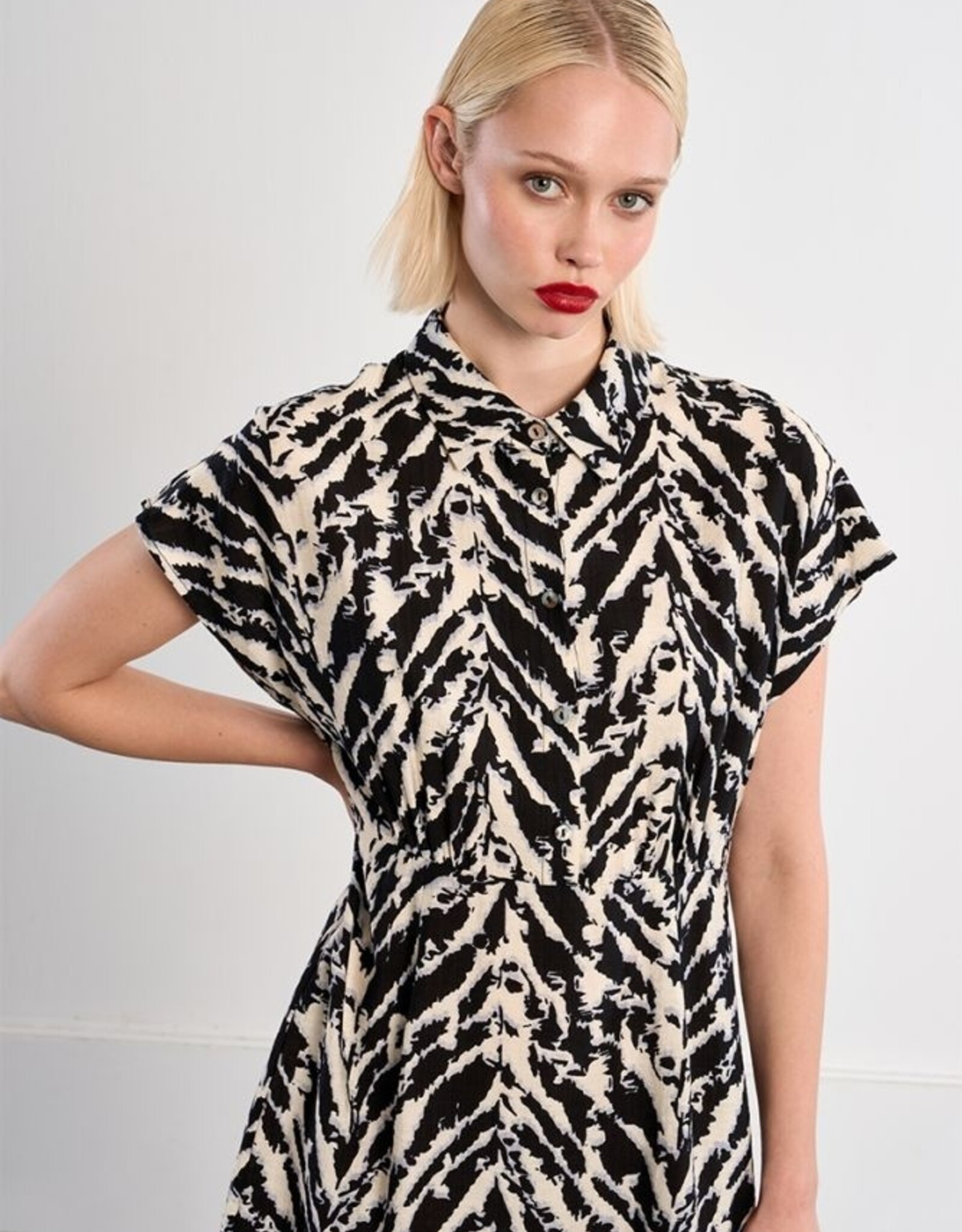 Molly Bracken Shirt Style Dress