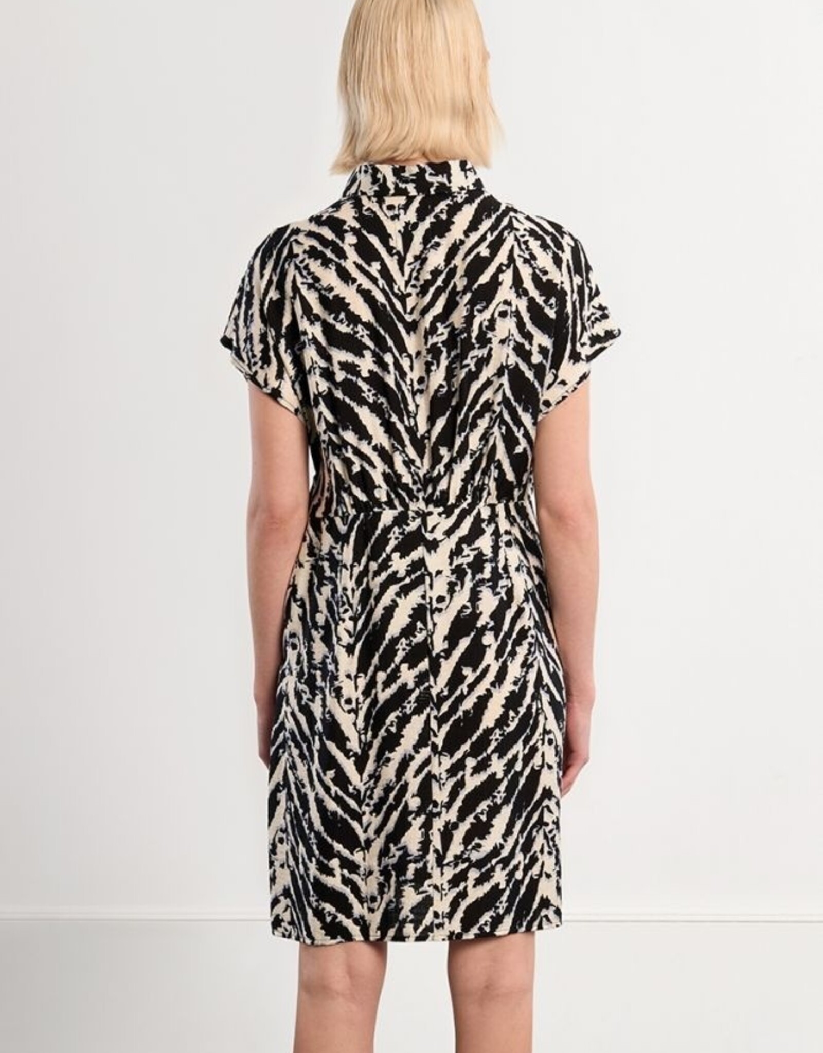 Molly Bracken Shirt Style Dress