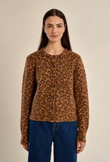 Molly Bracken Animal Print Cardigan