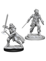 WizKids D&D Nolzur Vampire Hunters