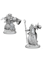 WizKids D&D Nolzur Human Wizard  (He/Him/They/Them)