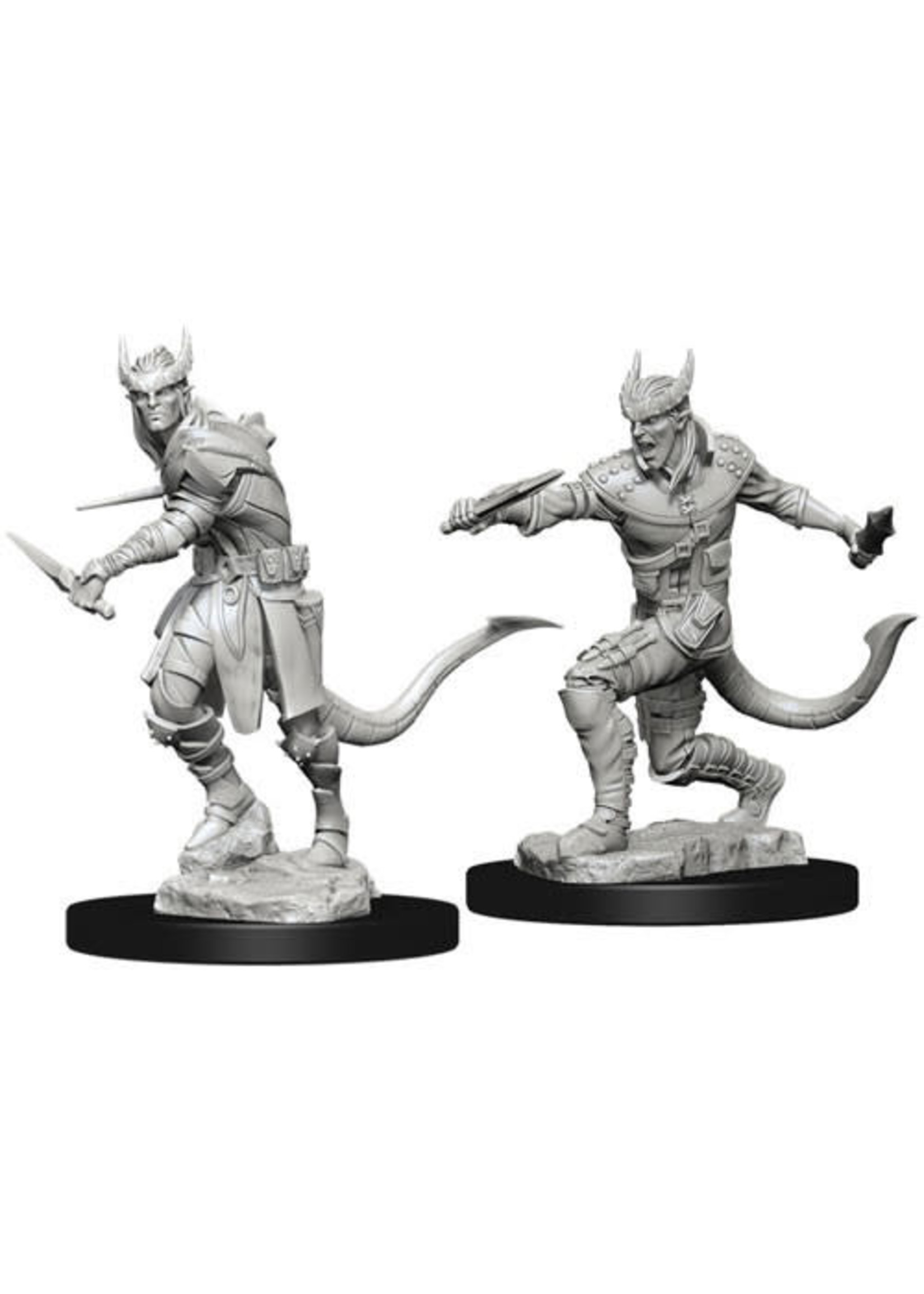 WizKids D&D Nolzur Tiefling Rogue  (He/Him/They/Them)