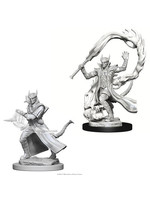 WizKids D&D Nolzur Tiefling Sorcerer  (He/Him/They/Them)