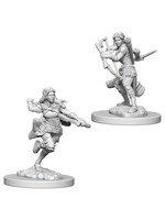 WizKids D&D Nolzur Air Genasi Rogue (She/Her/They/Them)