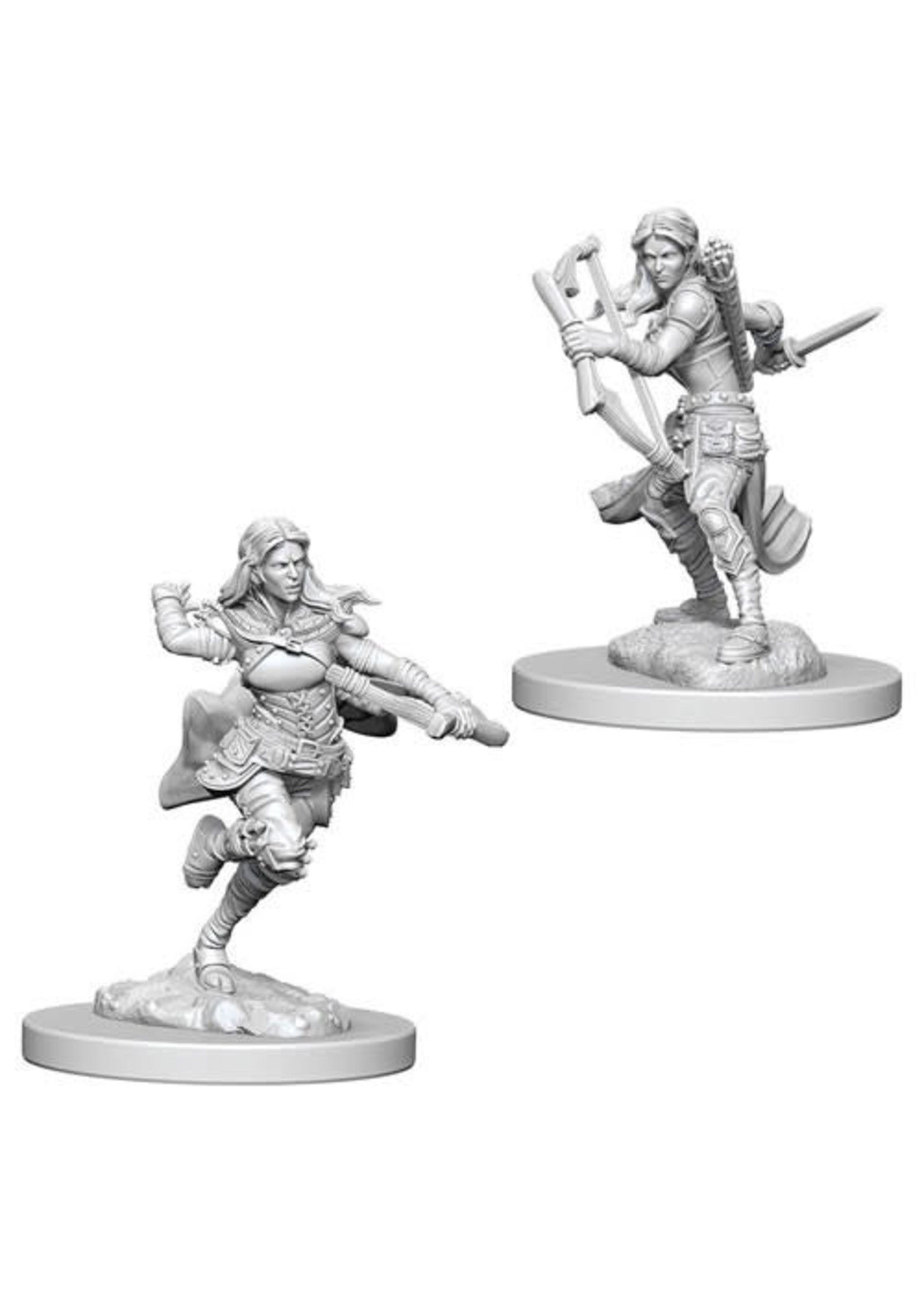 WizKids D&D Nolzur Air Genasi Rogue (She/Her/They/Them)