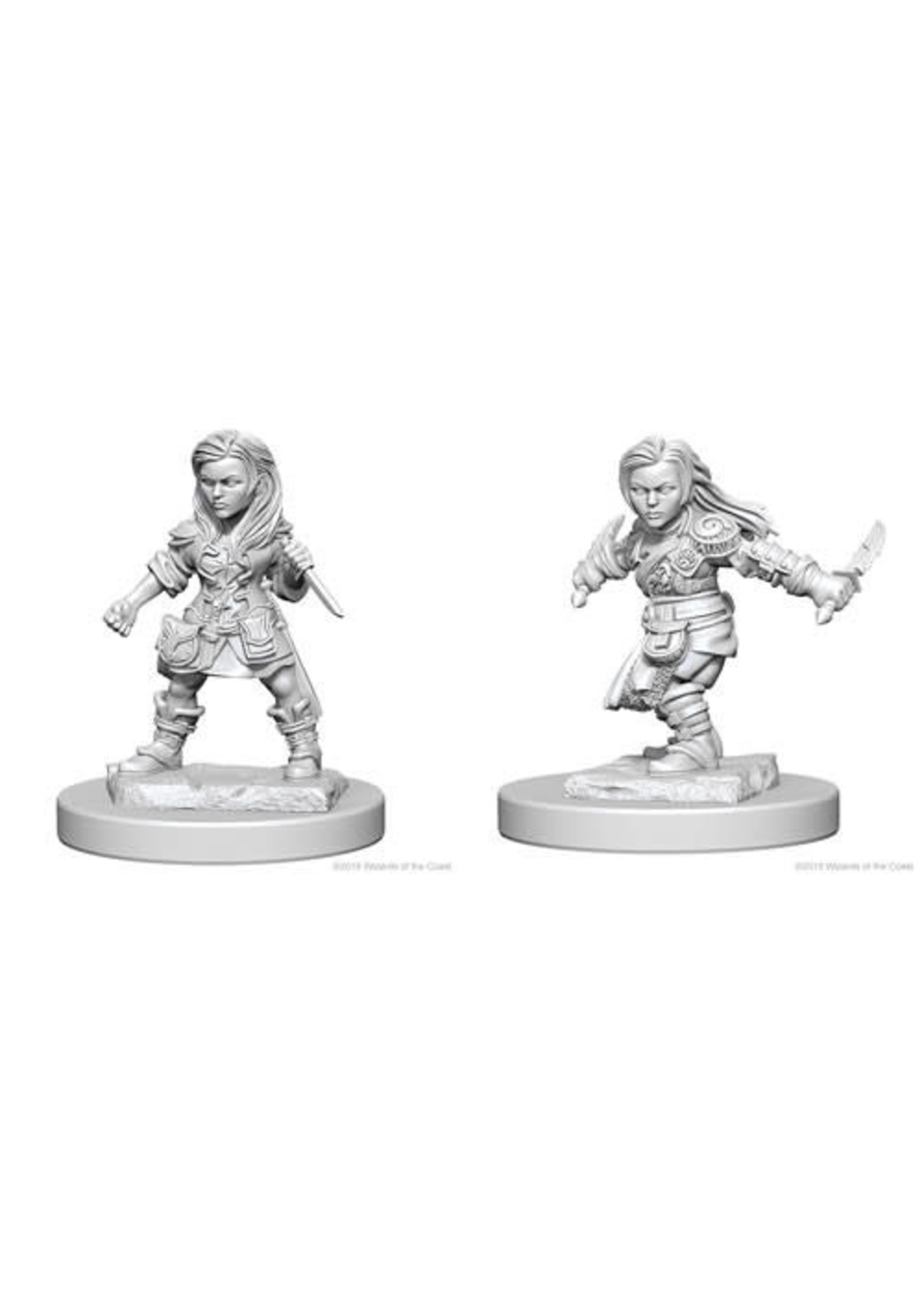 WizKids D&D Nolzur Halfling Rogue (She/Her/They/Them)